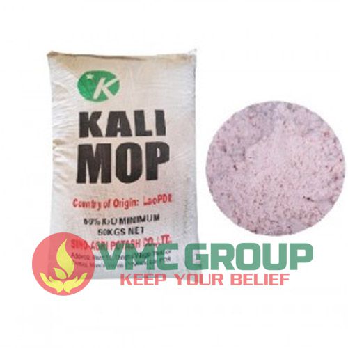 kali mop kcl