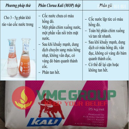 phan biet Kali Clorua - KCL Potassium Chloride (MOP)