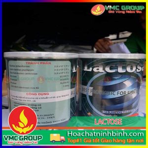 men-tron-ho-tro-duong-ruot-lactose