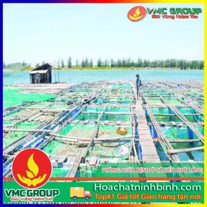 CÁC BIỆN PHÁP HỮU HIỆU PHÒNG NGỪA BỆNH Ở CÁ BIỂN NUÔI LỒNG