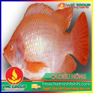 CÁCH PHÒNG TRỊ BỆNH CHO CÁ DIÊU HỒNG