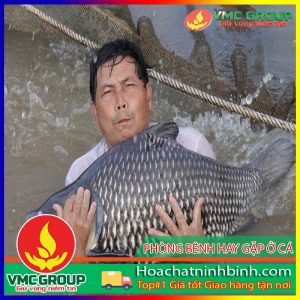 PHÒNG BỆNH HAY GẶP Ở CÁ