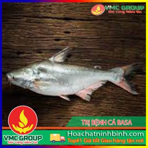 TRỊ BỆNH CỤT VÂY ,CỤT ĐUÔI CÁ BASA