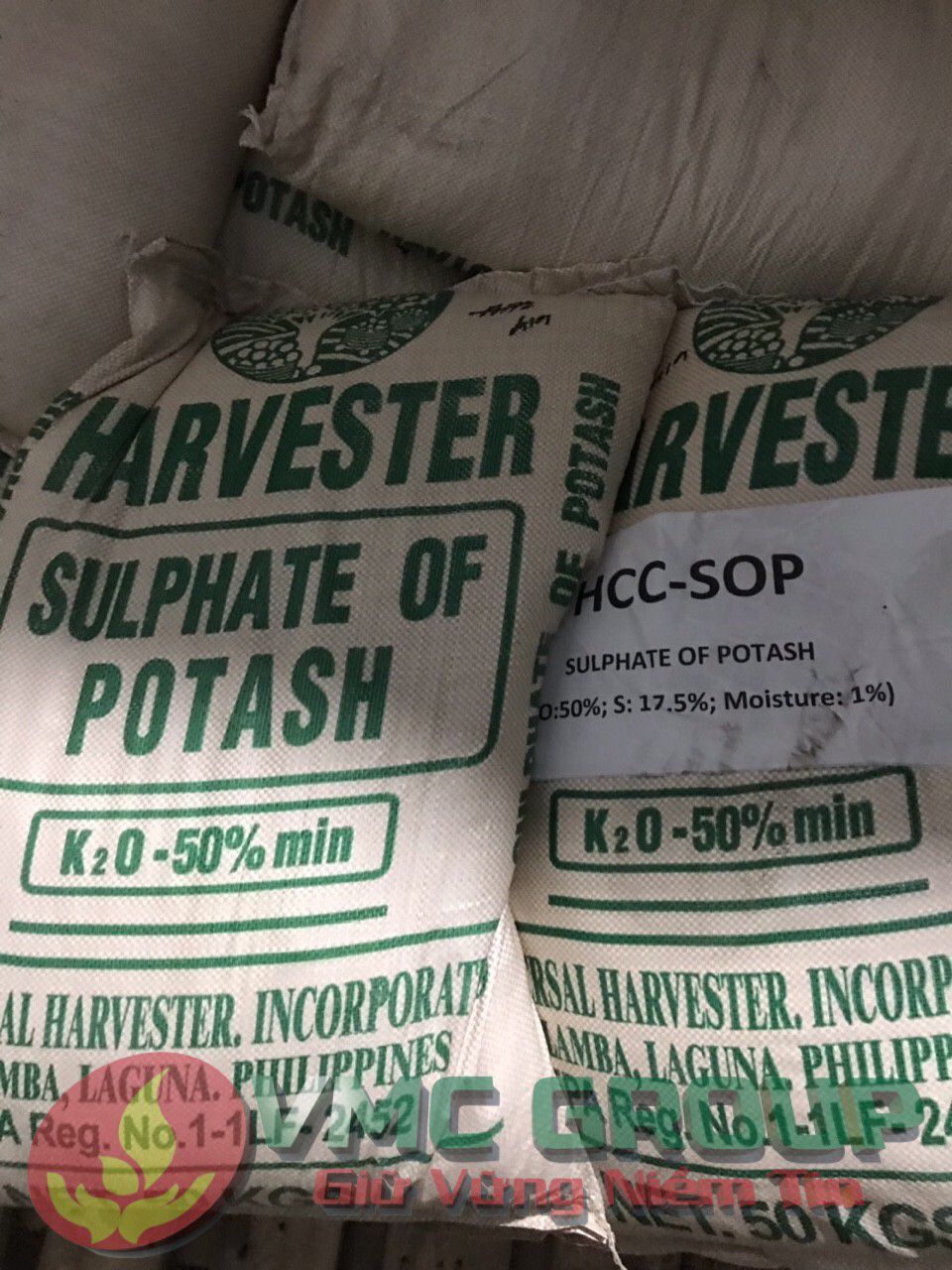 z1623876178322_4e0e955acc18aae8d48d71c45c103133