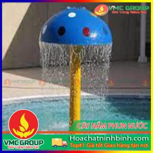 CÂY NẤM PHUN NƯỚC BỂ BƠI