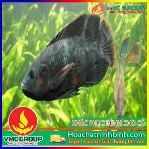 khac-phuc-benh-cho-ca